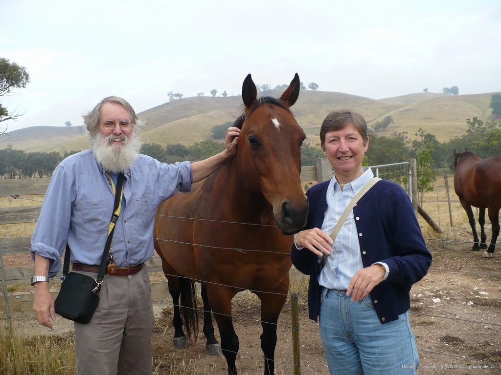 With Apollo at Villa Nobile, Australia