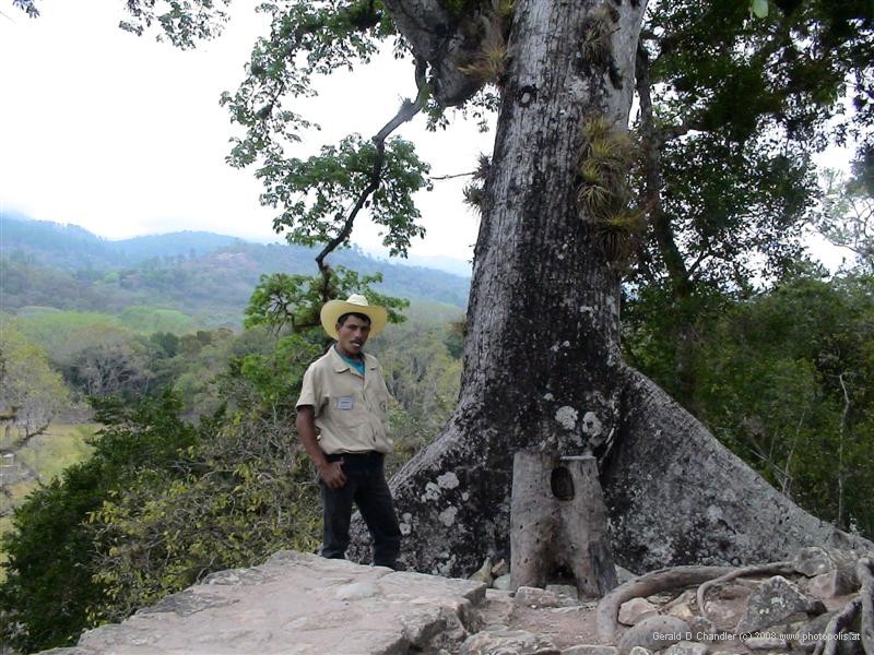 Guard at Copan Mayan Ruins