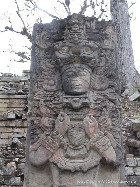 Stella in Residential Area