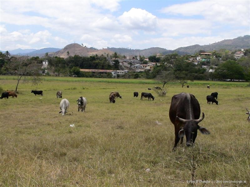 Copan Ruinas town seen from countryside