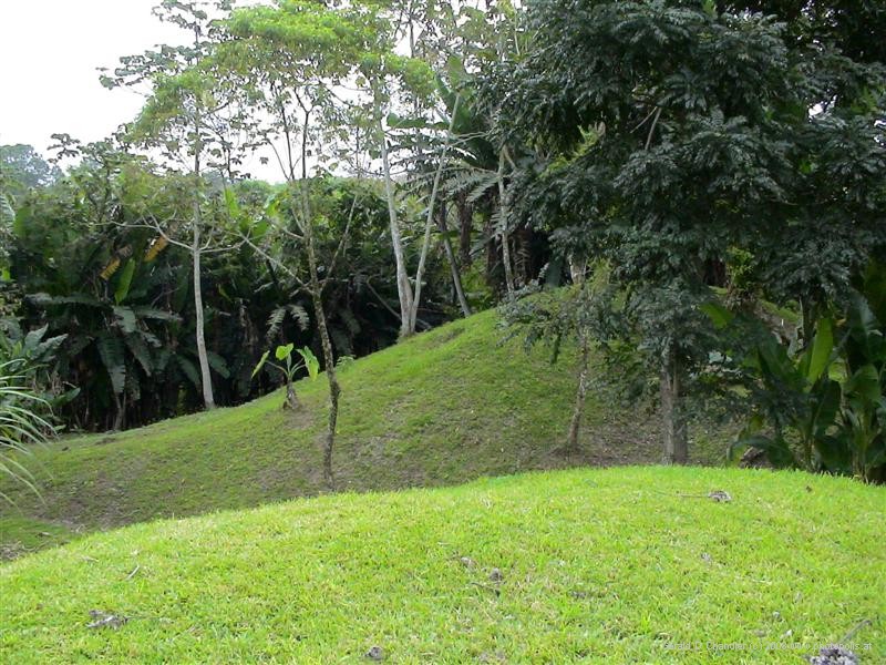Archeological mounds at Los Naranjos