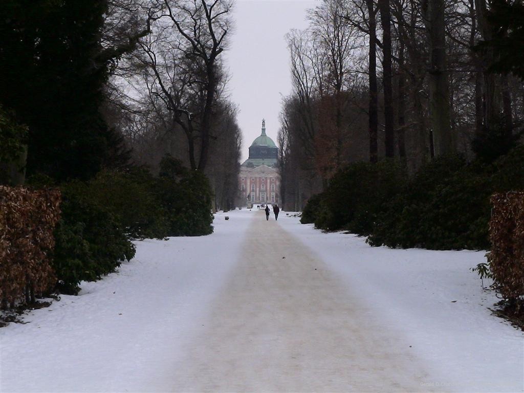s2r0306-39d.jpg