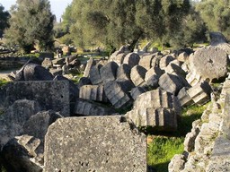 olympiaSite-082c.jpg
