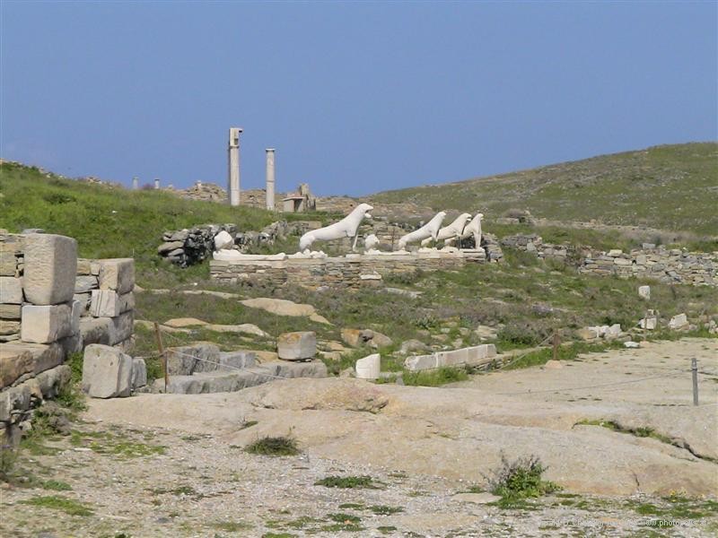 delosSite-165c.jpg