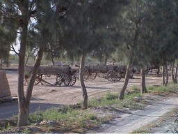 Abandoned Buckboards