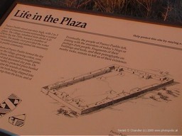 Petrified Forest NP