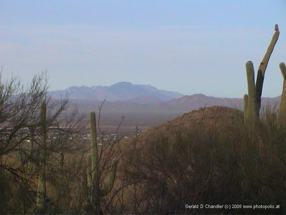 Saguaro NP West