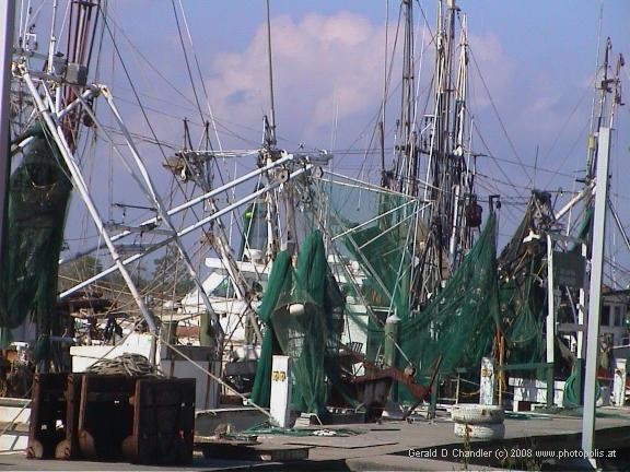 Fishing boat with green net hiding it.